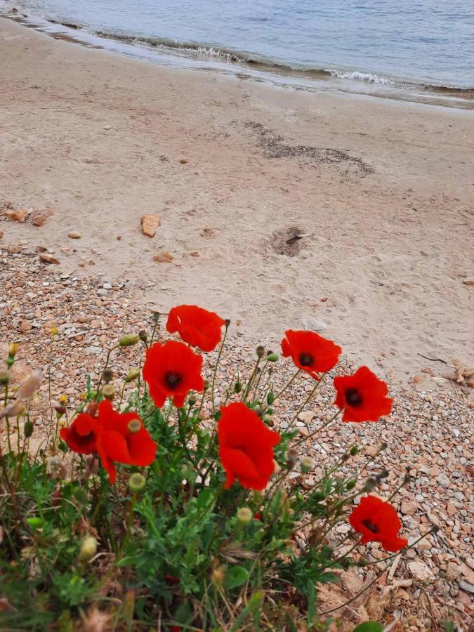 New Sea Escape Boutique Apt-Agii Aposto Li Beach Chania  Zewnętrze zdjęcie