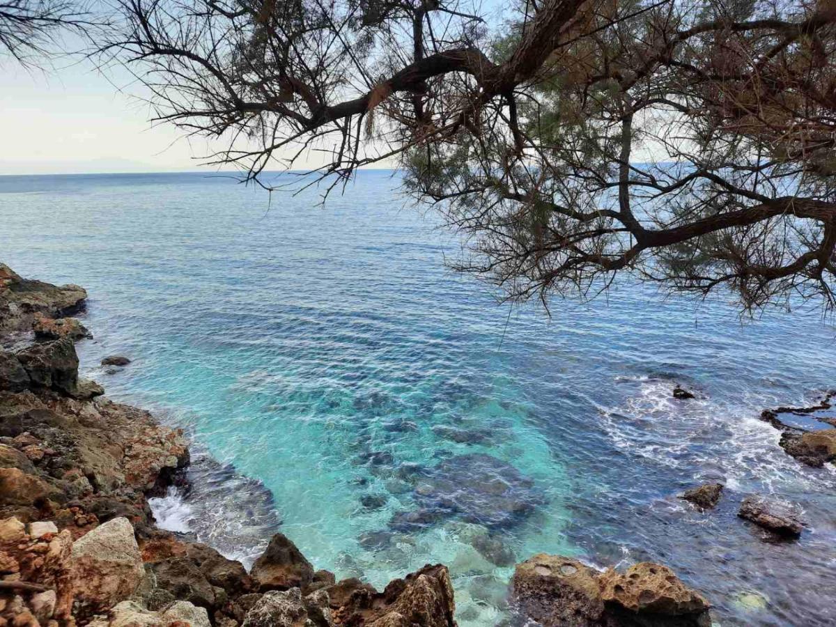 New Sea Escape Boutique Apt-Agii Aposto Li Beach Chania  Zewnętrze zdjęcie