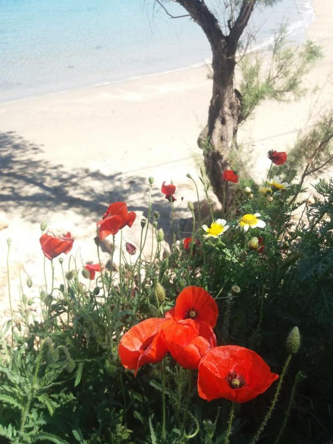 New Sea Escape Boutique Apt-Agii Aposto Li Beach Chania  Zewnętrze zdjęcie